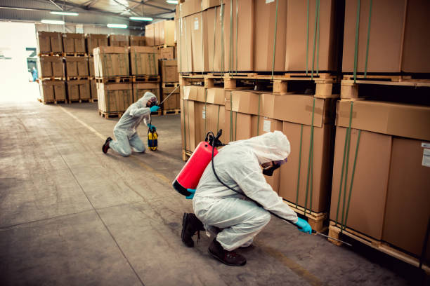 Best Exterminator Services  in Anderson, MO
