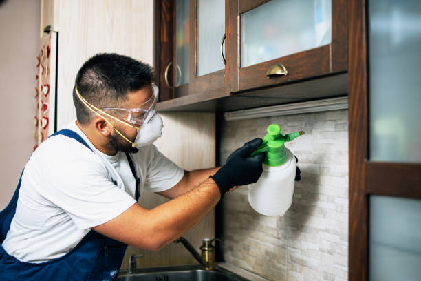 Best Mosquito Control Services  in Anderson, MO