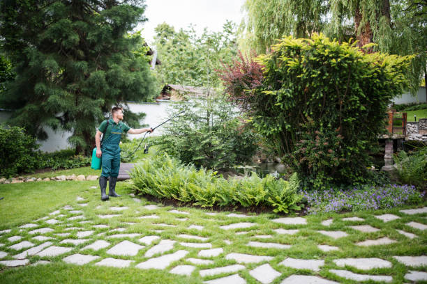 Best Insect Control  in Anderson, MO