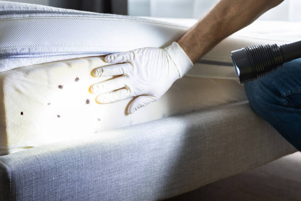 Pest Prevention Services in Anderson, MO