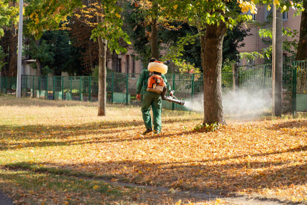Best Best Pest Control Companies  in Anderson, MO