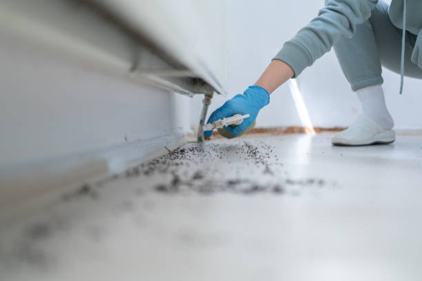 Best Pest Prevention Services  in Anderson, MO