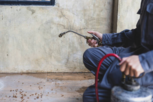 Professional Pest Control in Anderson, MO