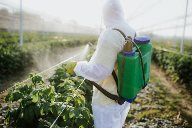 Best Affordable Pest Control Services  in Anderson, MO